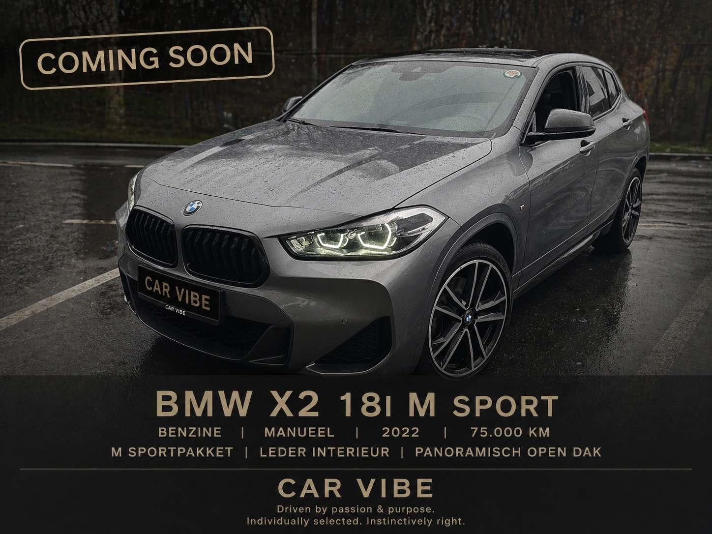 BMW X2 18i - M Sportpakket - Panoramisch open dak - Leder